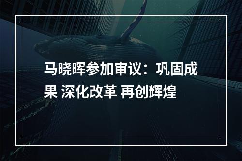 马晓晖参加审议：巩固成果 深化改革 再创辉煌