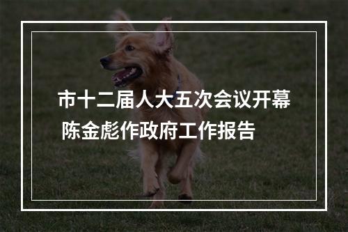 市十二届人大五次会议开幕 陈金彪作政府工作报告