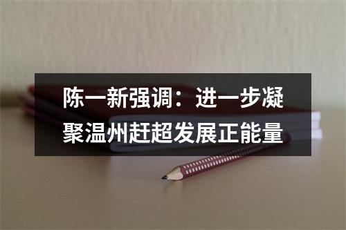 陈一新强调：进一步凝聚温州赶超发展正能量