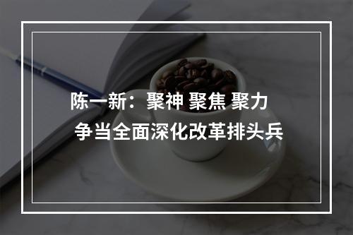 陈一新：聚神 聚焦 聚力 争当全面深化改革排头兵