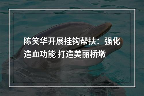 陈笑华开展挂钩帮扶：强化造血功能 打造美丽桥墩