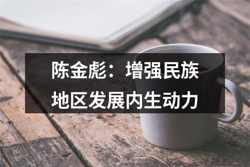 陈金彪：增强民族地区发展内生动力