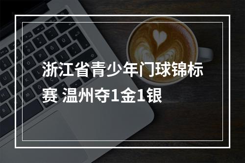 浙江省青少年门球锦标赛 温州夺1金1银