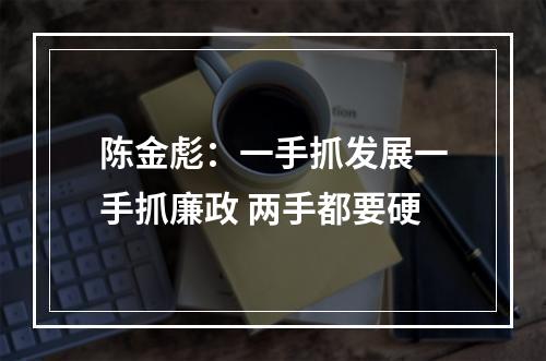 陈金彪：一手抓发展一手抓廉政 两手都要硬