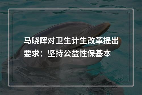 马晓晖对卫生计生改革提出要求：坚持公益性保基本
