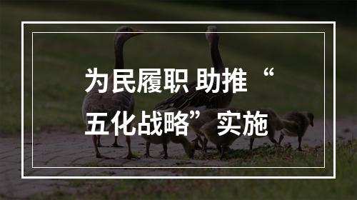 为民履职 助推“五化战略”实施