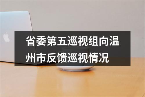 省委第五巡视组向温州市反馈巡视情况