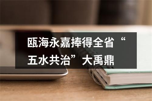 瓯海永嘉捧得全省“五水共治”大禹鼎