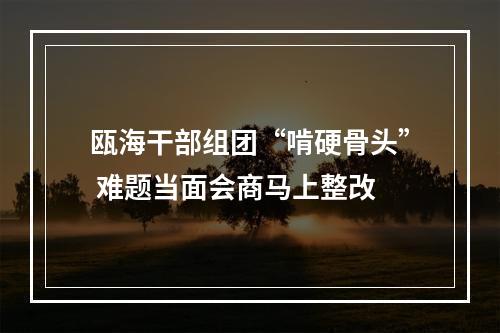 瓯海干部组团“啃硬骨头” 难题当面会商马上整改