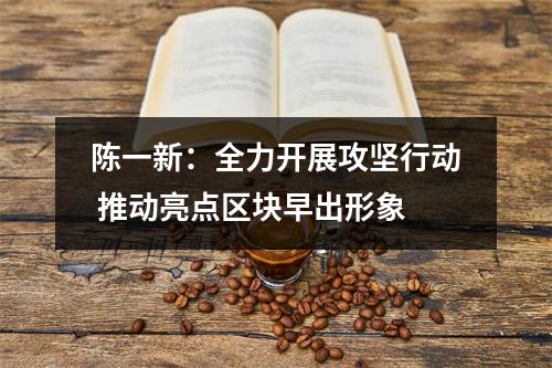 陈一新：全力开展攻坚行动 推动亮点区块早出形象