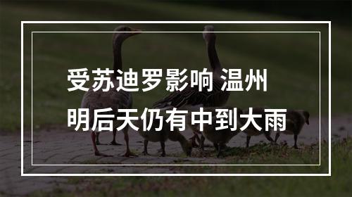 受苏迪罗影响 温州明后天仍有中到大雨