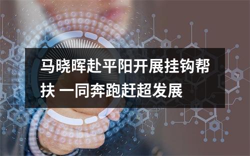 马晓晖赴平阳开展挂钩帮扶 一同奔跑赶超发展