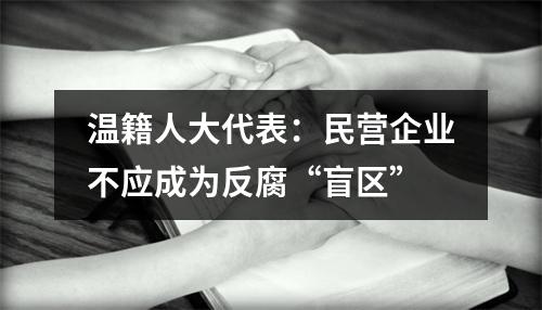 温籍人大代表：民营企业不应成为反腐“盲区”