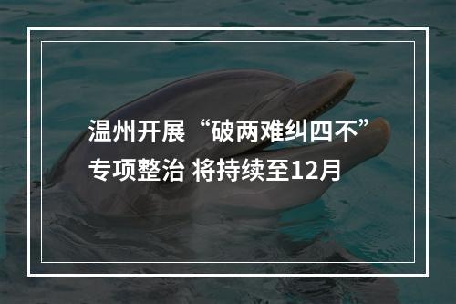 温州开展“破两难纠四不”专项整治 将持续至12月