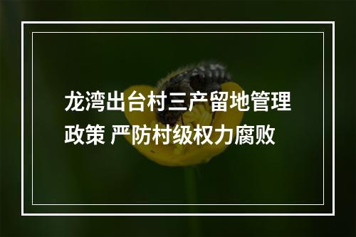 龙湾出台村三产留地管理政策 严防村级权力腐败