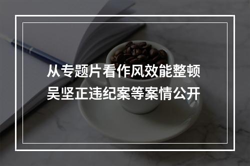 从专题片看作风效能整顿 吴坚正违纪案等案情公开