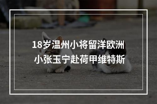 18岁温州小将留洋欧洲 小张玉宁赴荷甲维特斯