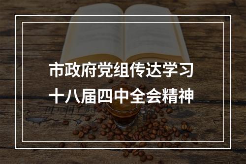 市政府党组传达学习 十八届四中全会精神