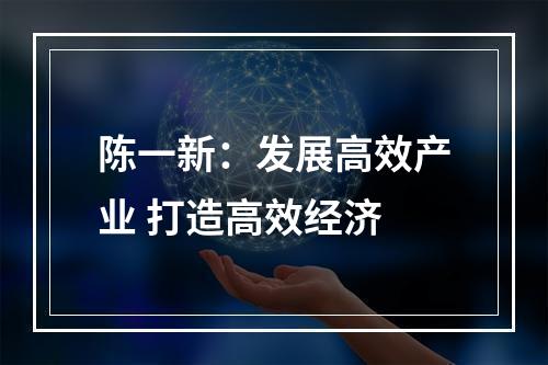 陈一新：发展高效产业 打造高效经济