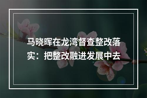 马晓晖在龙湾督查整改落实：把整改融进发展中去