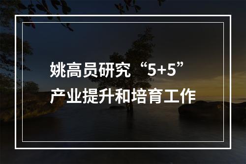 姚高员研究“5+5”产业提升和培育工作