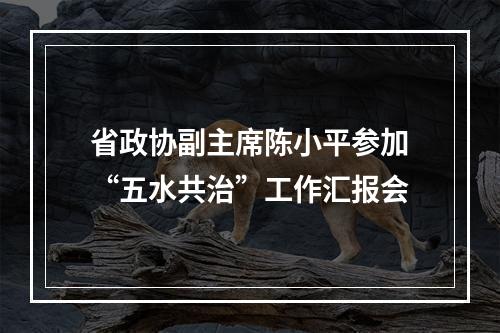 省政协副主席陈小平参加“五水共治”工作汇报会