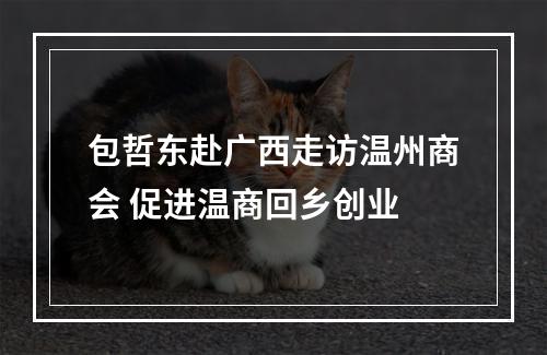 包哲东赴广西走访温州商会 促进温商回乡创业