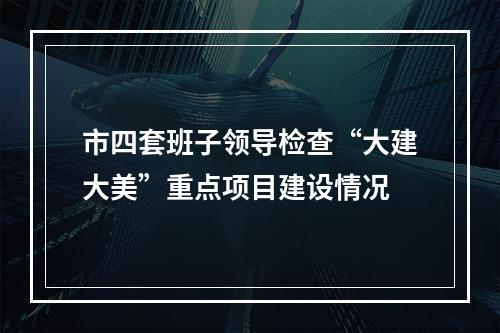 市四套班子领导检查“大建大美”重点项目建设情况