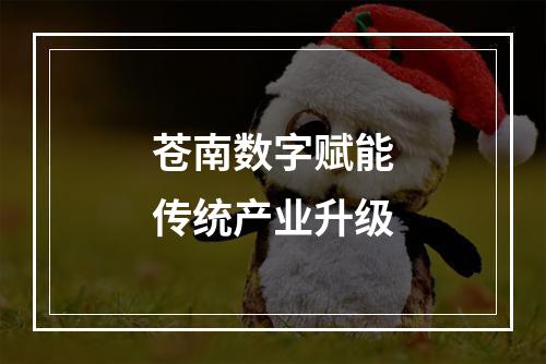 苍南数字赋能传统产业升级