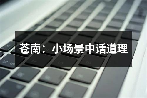 苍南：小场景中话道理