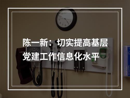 陈一新：切实提高基层党建工作信息化水平