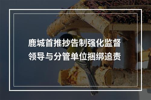 鹿城首推抄告制强化监督 领导与分管单位捆绑追责