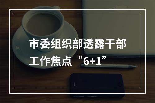 市委组织部透露干部工作焦点“6+1”