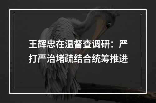 王辉忠在温督查调研：严打严治堵疏结合统筹推进