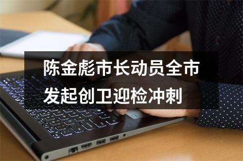 陈金彪市长动员全市发起创卫迎检冲刺