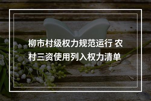 柳市村级权力规范运行 农村三资使用列入权力清单