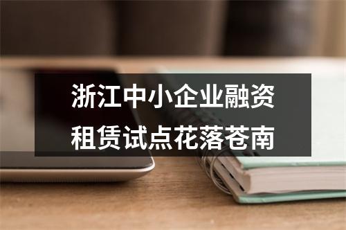 浙江中小企业融资租赁试点花落苍南