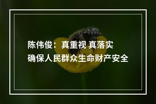 陈伟俊：真重视 真落实 确保人民群众生命财产安全