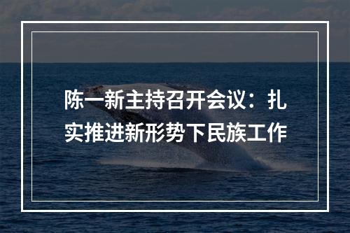 陈一新主持召开会议：扎实推进新形势下民族工作