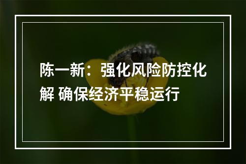 陈一新：强化风险防控化解 确保经济平稳运行