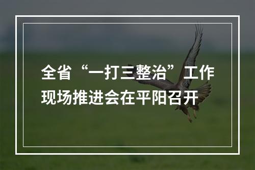 全省“一打三整治”工作现场推进会在平阳召开