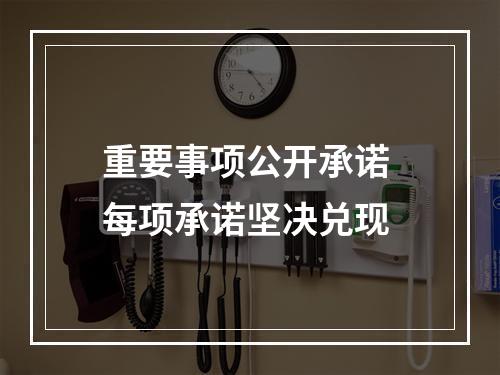 重要事项公开承诺 每项承诺坚决兑现