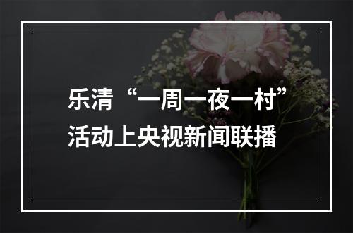 乐清“一周一夜一村”活动上央视新闻联播