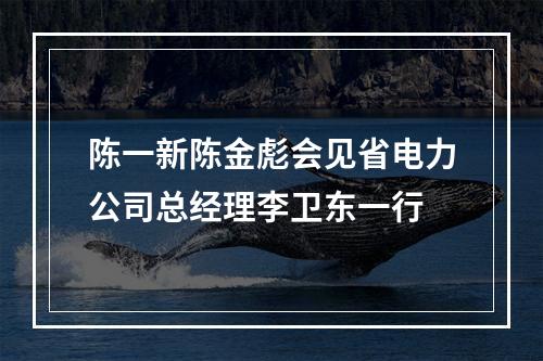 陈一新陈金彪会见省电力公司总经理李卫东一行