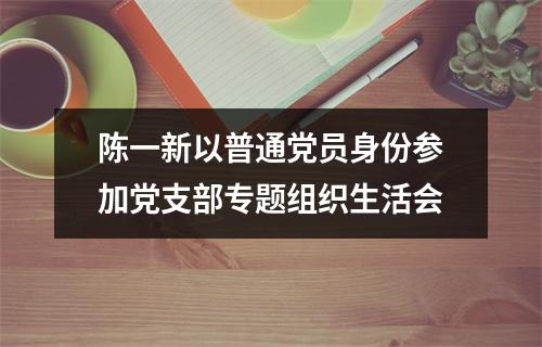 陈一新以普通党员身份参加党支部专题组织生活会