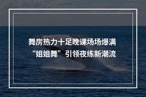 舞房热力十足晚课场场爆满 “姐姐舞”引领夜练新潮流