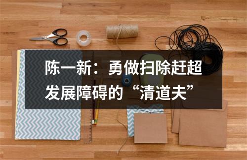 陈一新：勇做扫除赶超发展障碍的“清道夫”