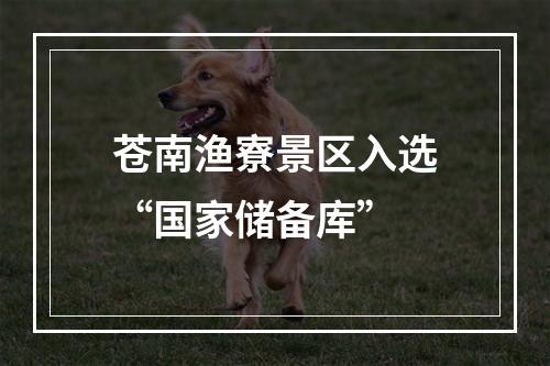 苍南渔寮景区入选“国家储备库”