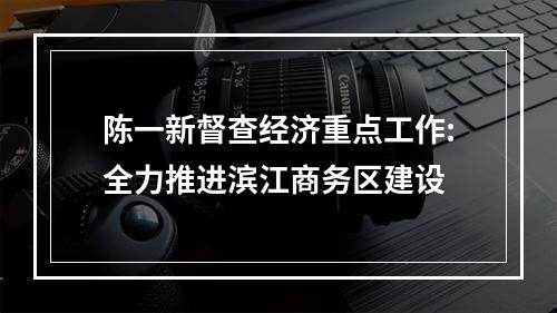 陈一新督查经济重点工作:全力推进滨江商务区建设