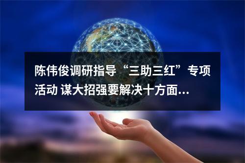 陈伟俊调研指导“三助三红”专项活动 谋大招强要解决十方面问题